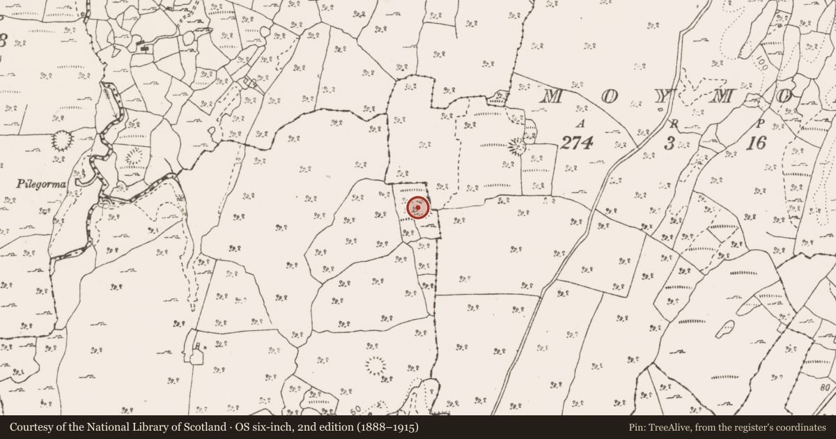 Ordnance Survey six-inch map, 2nd edition (1888–1915) covering the location of Ringfort - cashel, Ballygriffy North, County Clare, with a pin at the register's coordinates