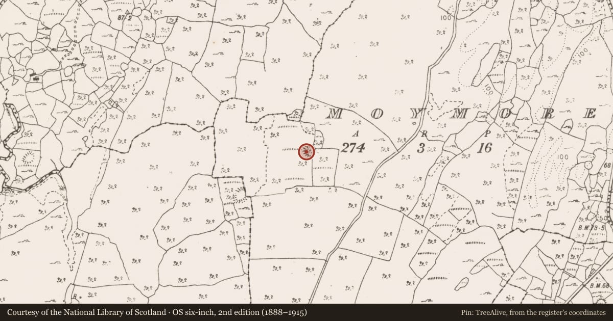 Ordnance Survey six-inch map, 2nd edition (1888–1915) covering the location of Hut site, Moymore, County Clare, with a pin at the register's coordinates