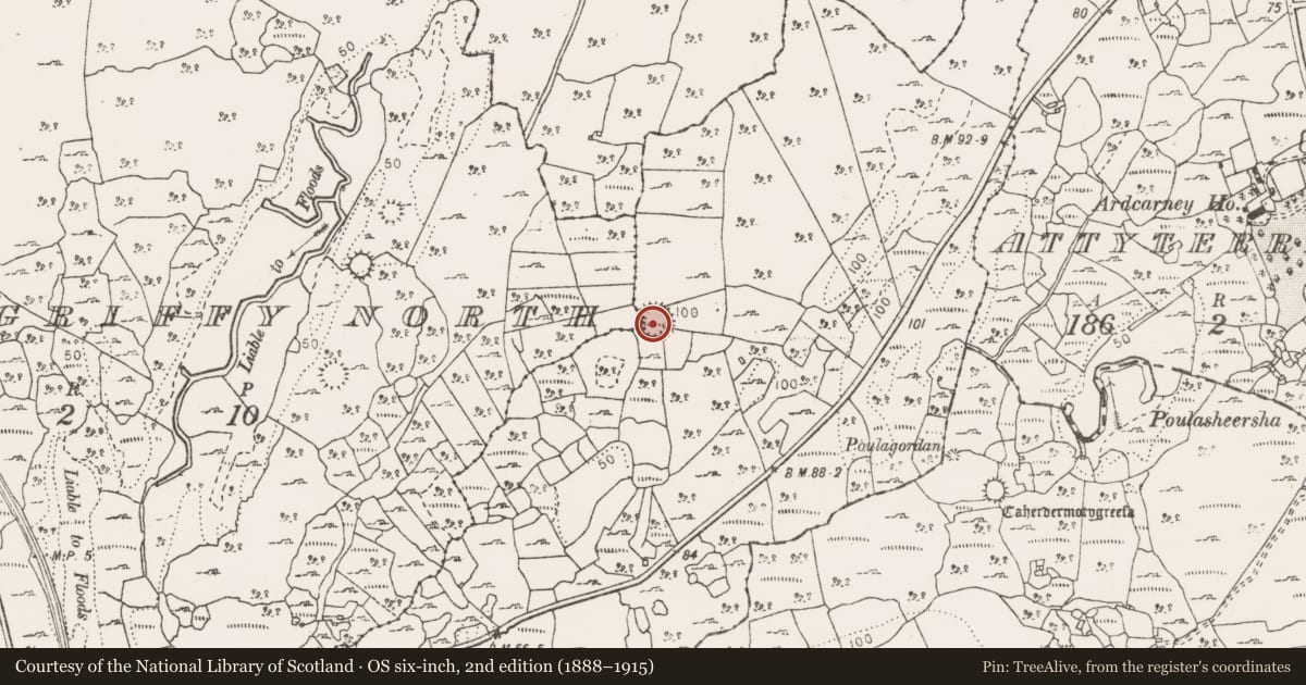 Ordnance Survey six-inch map, 2nd edition (1888–1915) covering the location of Ringfort - cashel, Ballygriffy North, Ballygriffy South, County Clare, with a pin at the register's coordinates