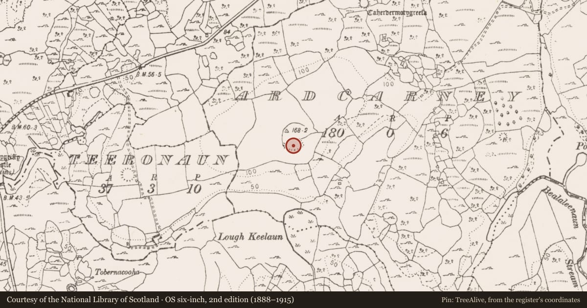 Ordnance Survey six-inch map, 2nd edition (1888–1915) covering the location of Ringfort - rath, Ardcarney, County Clare, with a pin at the register's coordinates