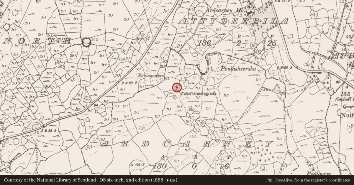 Ordnance Survey six-inch map, 2nd edition (1888–1915) covering the location of Ringfort - cashel, Ardcarney, County Clare, with a pin at the register's coordinates