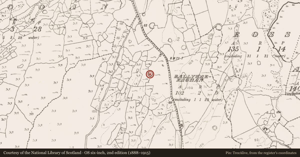 Ordnance Survey six-inch map, 2nd edition (1888–1915) covering the location of Ringfort - cashel, Moymore, County Clare, with a pin at the register's coordinates