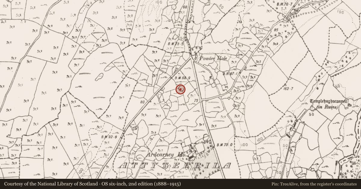 Ordnance Survey six-inch map, 2nd edition (1888–1915) covering the location of Ringfort - cashel, Attyterrila, County Clare, with a pin at the register's coordinates