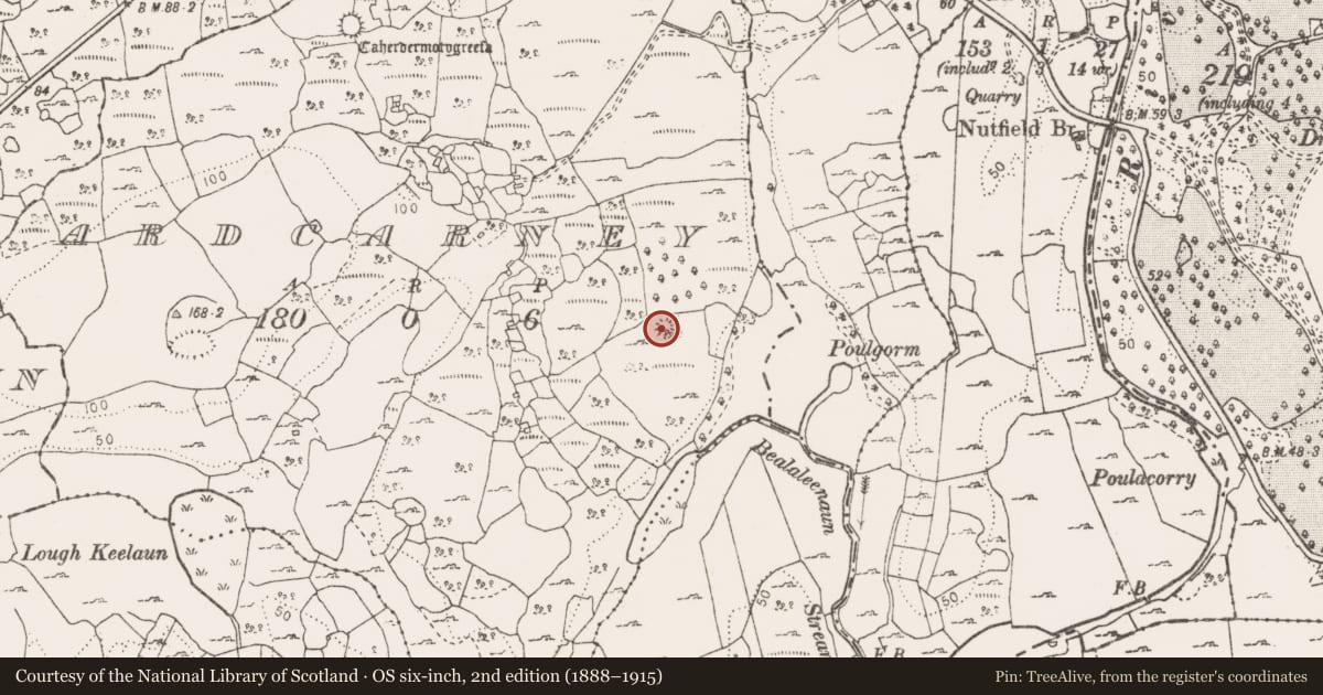 Ordnance Survey six-inch map, 2nd edition (1888–1915) covering the location of Ringfort - cashel, Ardcarney, County Clare, with a pin at the register's coordinates