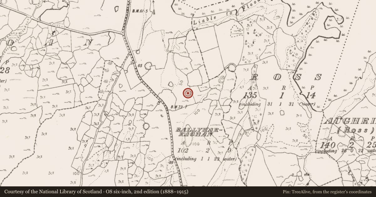 Ordnance Survey six-inch map, 2nd edition (1888–1915) covering the location of Ringfort - cashel, Ballyharraghan, County Clare, with a pin at the register's coordinates