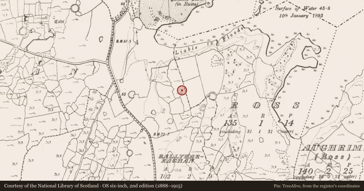 Ordnance Survey six-inch map, 2nd edition (1888–1915) covering the location of Enclosure, Ballyharraghan, County Clare, with a pin at the register's coordinates