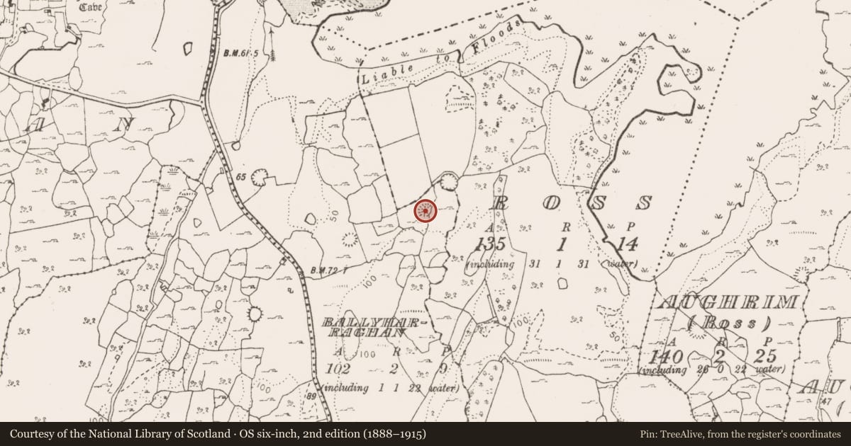 Ordnance Survey six-inch map, 2nd edition (1888–1915) covering the location of Ringfort - cashel, Ballyharraghan, County Clare, with a pin at the register's coordinates