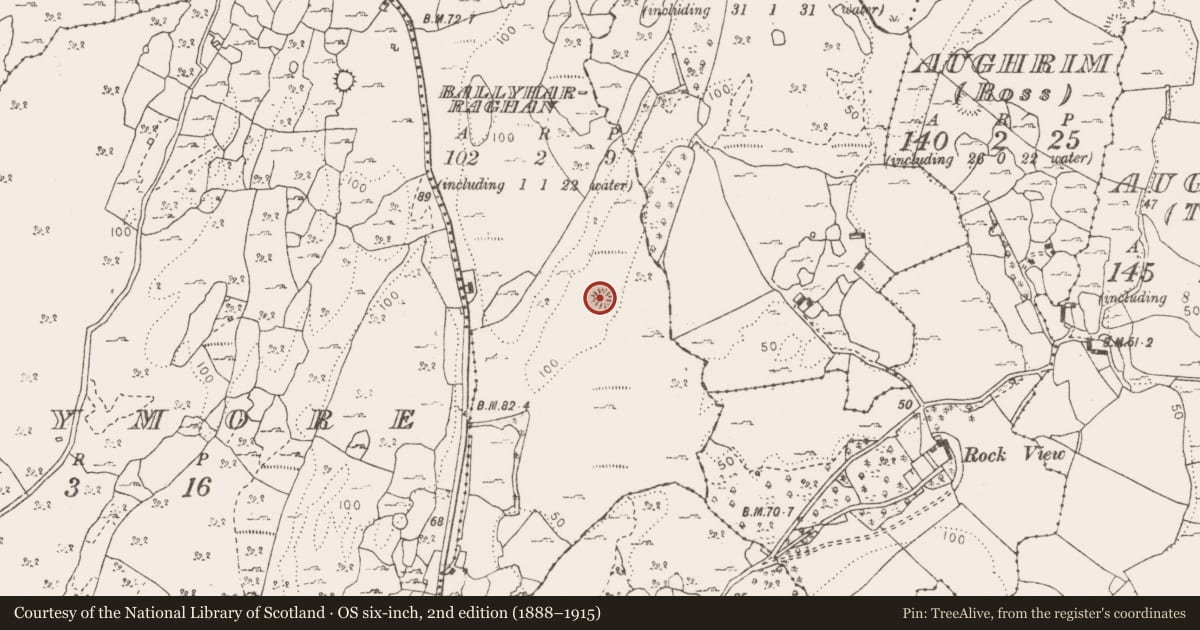 Ordnance Survey six-inch map, 2nd edition (1888–1915) covering the location of Ringfort - cashel, Ballyharraghan, County Clare, with a pin at the register's coordinates