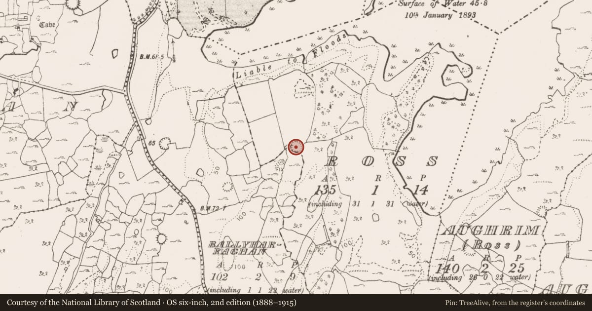 Ordnance Survey six-inch map, 2nd edition (1888–1915) covering the location of Enclosure, Ross, County Clare, with a pin at the register's coordinates