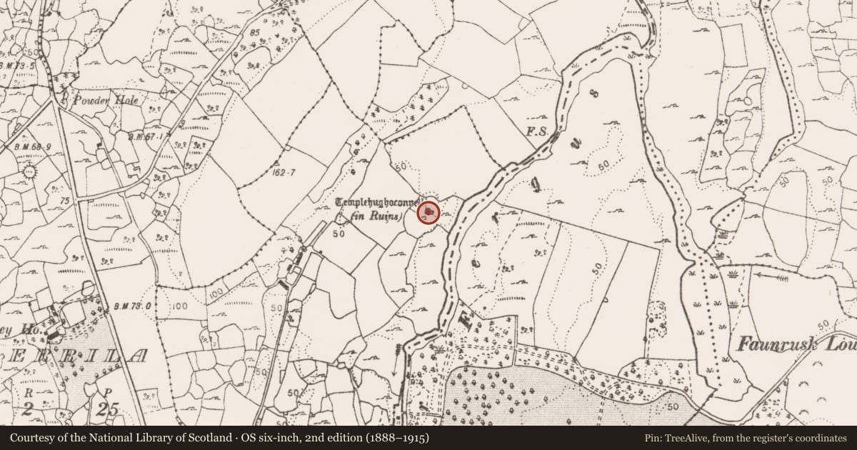 Ordnance Survey six-inch map, 2nd edition (1888–1915) covering the location of Church, Aughrim (Kelly), County Clare, with a pin at the register's coordinates