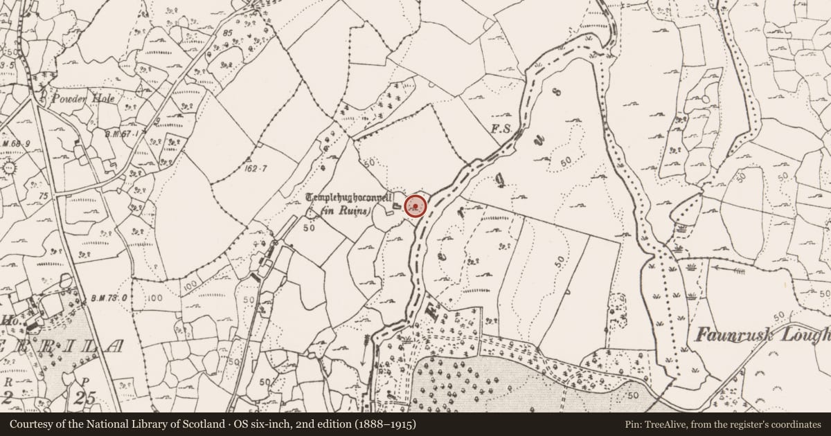 Ordnance Survey six-inch map, 2nd edition (1888–1915) covering the location of Enclosure, Aughrim (Kelly), County Clare, with a pin at the register's coordinates