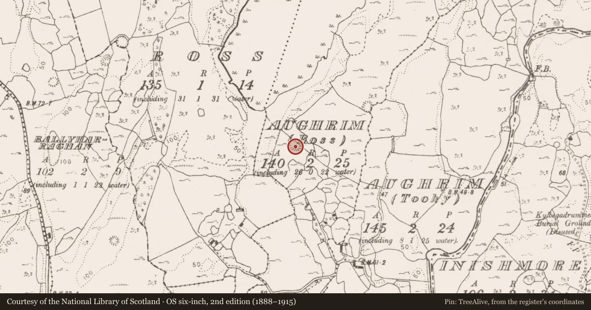 Ordnance Survey six-inch map, 2nd edition (1888–1915) covering the location of Ringfort - cashel, Aughrim (Ross), County Clare, with a pin at the register's coordinates