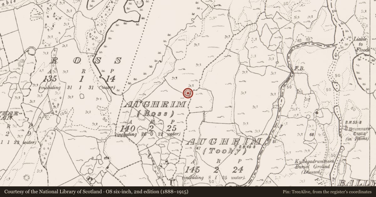 Ordnance Survey six-inch map, 2nd edition (1888–1915) covering the location of Ringfort - cashel, Aughrim (Ross), County Clare, with a pin at the register's coordinates