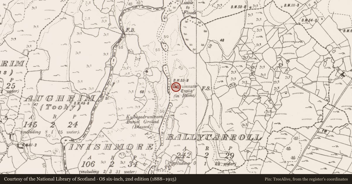 Ordnance Survey six-inch map, 2nd edition (1888–1915) covering the location of Castle - ringwork, Ballycarroll, County Clare, with a pin at the register's coordinates