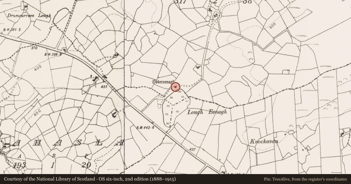 Ordnance Survey six-inch map, 2nd edition (1888–1915) covering the location of Ritual site - holy well, Ballynagonnaghtagh, County Clare, with a pin at the register's coordinates
