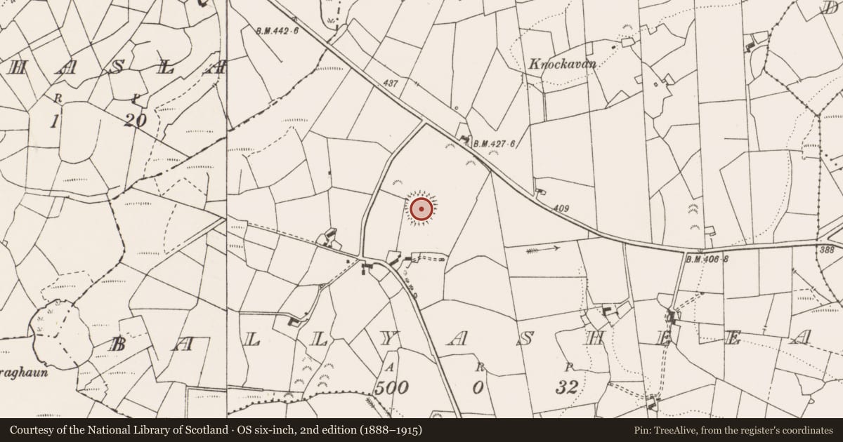 Ordnance Survey six-inch map, 2nd edition (1888–1915) covering the location of Ringfort - rath, Ballyasheea, County Clare, with a pin at the register's coordinates