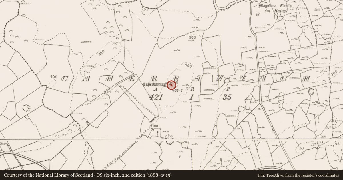 Ordnance Survey six-inch map, 2nd edition (1888–1915) covering the location of Ringfort - cashel, Caherbannagh, County Clare, with a pin at the register's coordinates