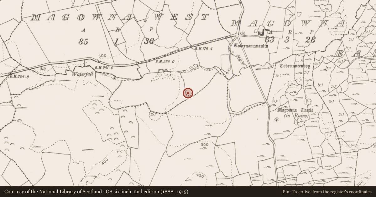 Ordnance Survey six-inch map, 2nd edition (1888–1915) covering the location of Ringfort - rath, Magowna, County Clare, with a pin at the register's coordinates
