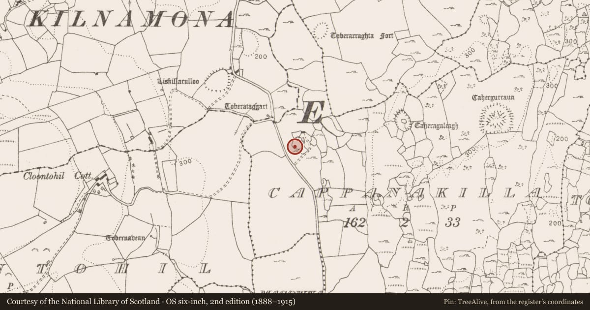 Ordnance Survey six-inch map, 2nd edition (1888–1915) covering the location of Enclosure, Cappanakilla, County Clare, with a pin at the register's coordinates