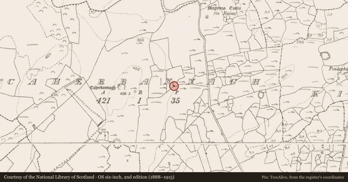 Ordnance Survey six-inch map, 2nd edition (1888–1915) covering the location of Ringfort - cashel, Caherbannagh, County Clare, with a pin at the register's coordinates