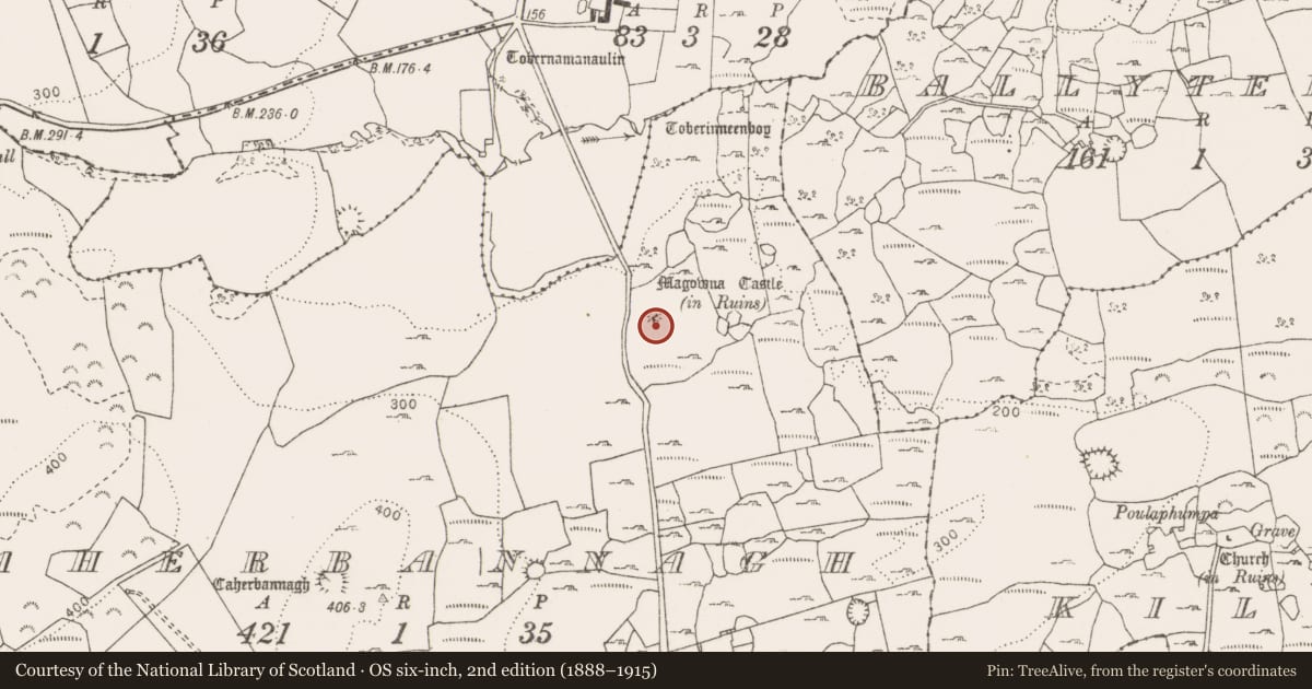 Ordnance Survey six-inch map, 2nd edition (1888–1915) covering the location of Castle - tower house, Caherbannagh, County Clare, with a pin at the register's coordinates