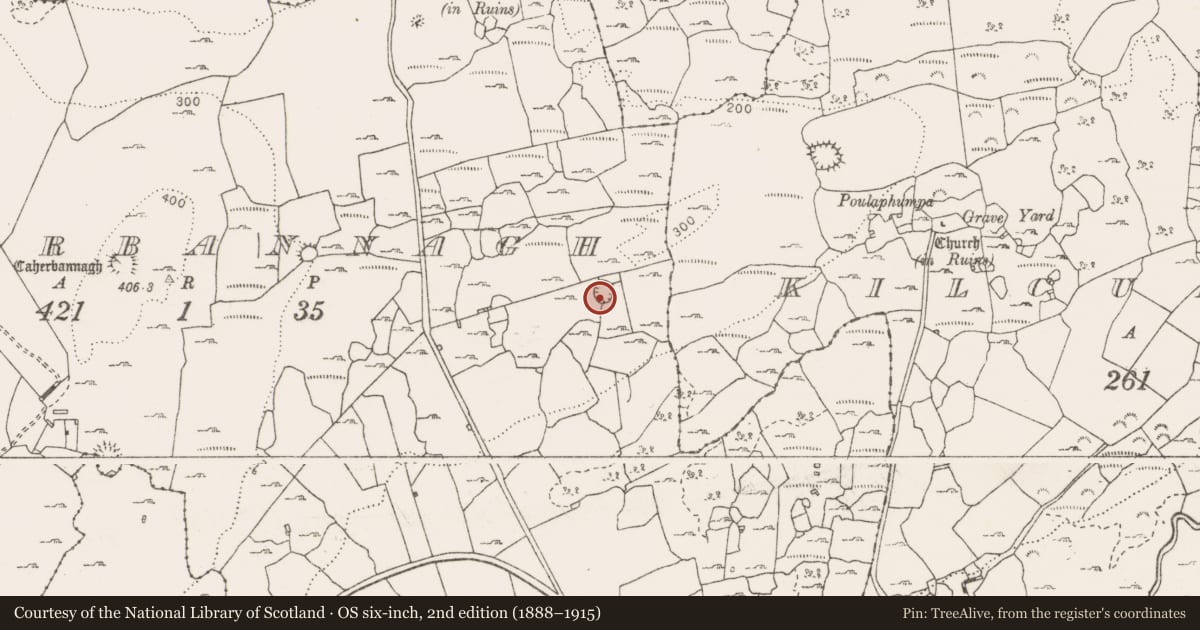 Ordnance Survey six-inch map, 2nd edition (1888–1915) covering the location of Ringfort - cashel, Caherbannagh, County Clare, with a pin at the register's coordinates