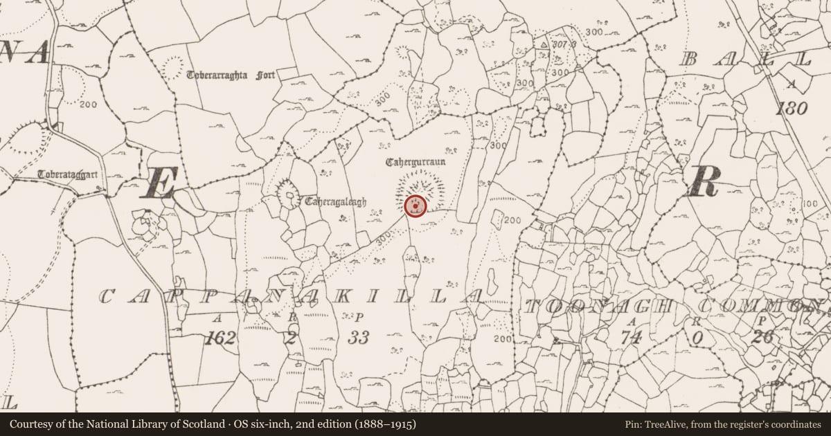 Ordnance Survey six-inch map, 2nd edition (1888–1915) covering the location of Hut site, Cappanakilla, County Clare, with a pin at the register's coordinates