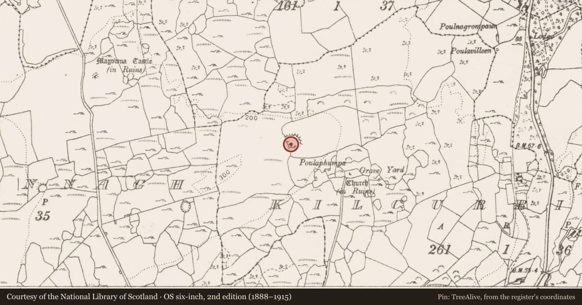 Ordnance Survey six-inch map, 2nd edition (1888–1915) covering the location of Ringfort - cashel, Kilcurrish, County Clare, with a pin at the register's coordinates