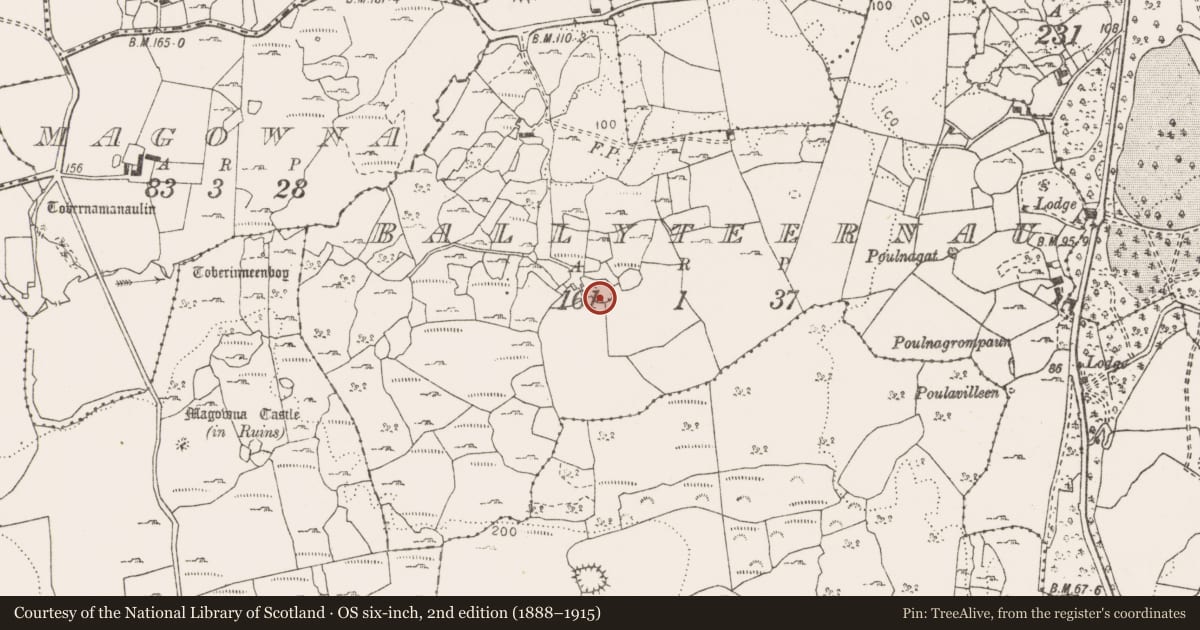 Ordnance Survey six-inch map, 2nd edition (1888–1915) covering the location of Enclosure, Ballyteernan, County Clare, with a pin at the register's coordinates