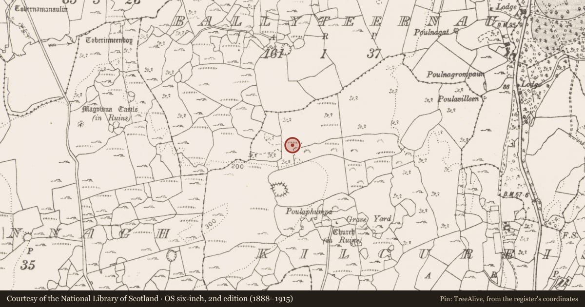 Ordnance Survey six-inch map, 2nd edition (1888–1915) covering the location of Megalithic tomb - wedge tomb, Kilcurrish, County Clare, with a pin at the register's coordinates