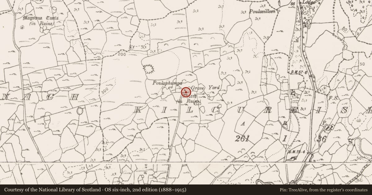Ordnance Survey six-inch map, 2nd edition (1888–1915) covering the location of Church, Kilcurrish, County Clare, with a pin at the register's coordinates