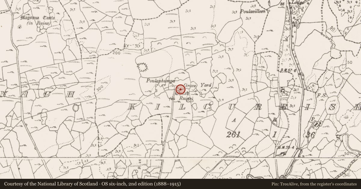 Ordnance Survey six-inch map, 2nd edition (1888–1915) covering the location of Graveyard, Kilcurrish, County Clare, with a pin at the register's coordinates
