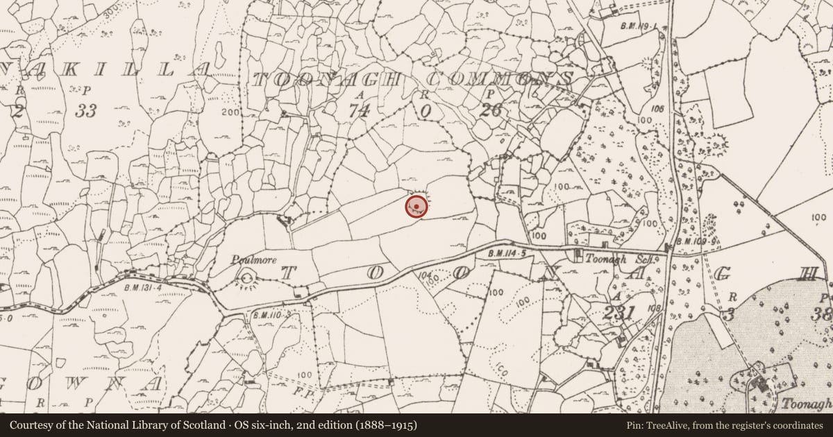Ordnance Survey six-inch map, 2nd edition (1888–1915) covering the location of Ringfort - rath, Toonagh, County Clare, with a pin at the register's coordinates