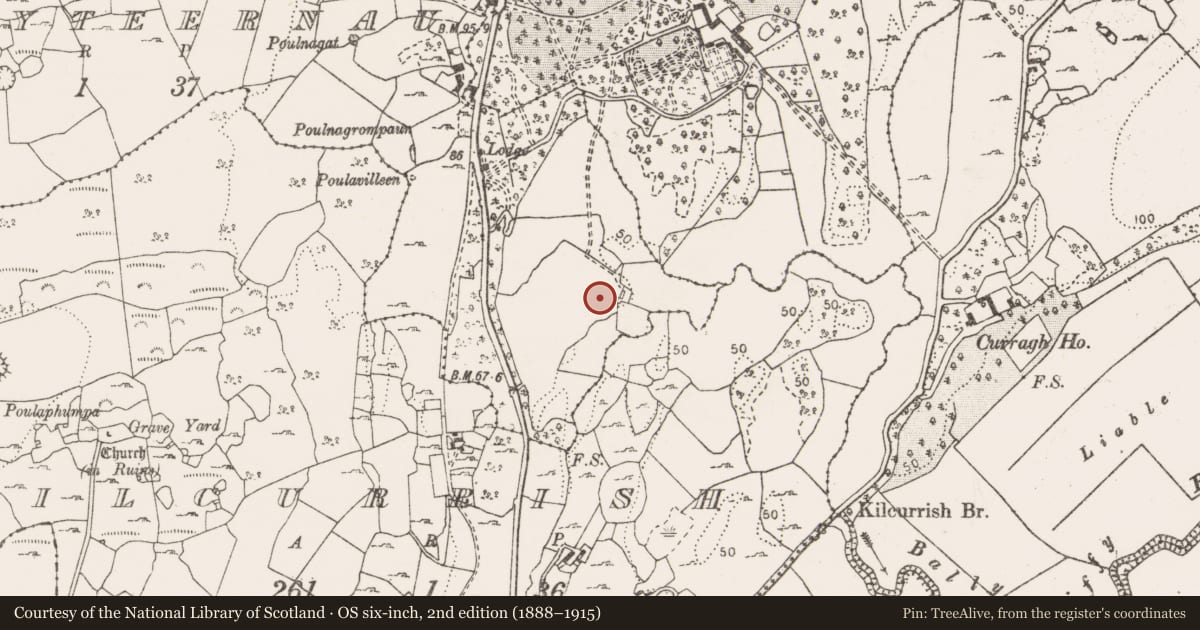 Ordnance Survey six-inch map, 2nd edition (1888–1915) covering the location of Ringfort - cashel, Ballyteernan, County Clare, with a pin at the register's coordinates