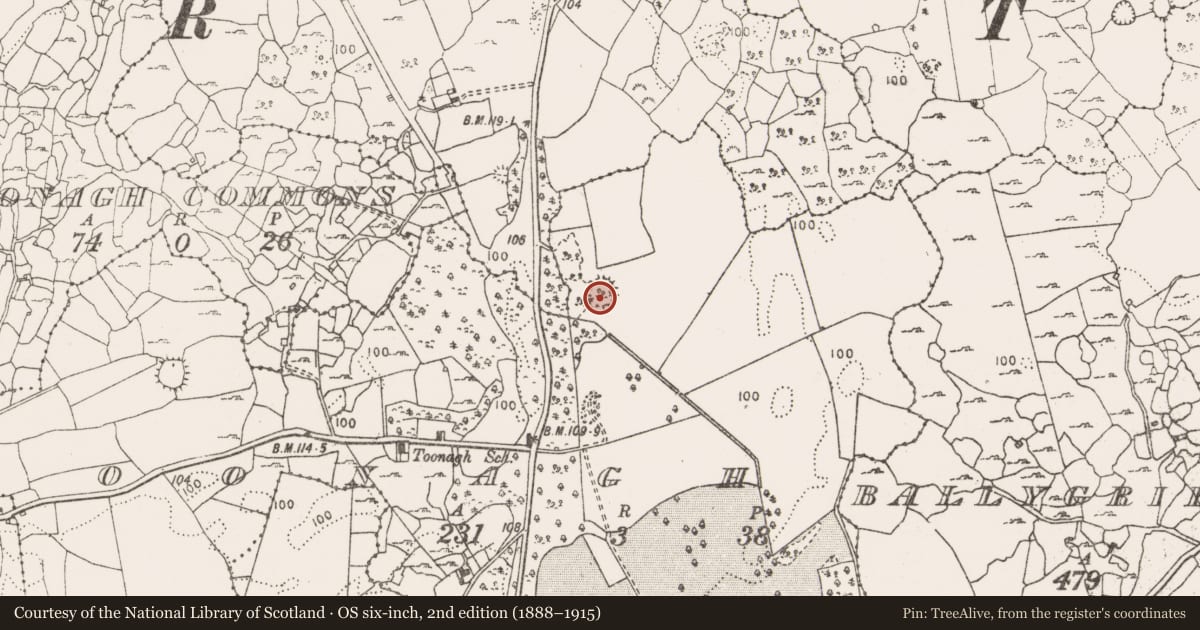 Ordnance Survey six-inch map, 2nd edition (1888–1915) covering the location of Ringfort - cashel, Toonagh, County Clare, with a pin at the register's coordinates