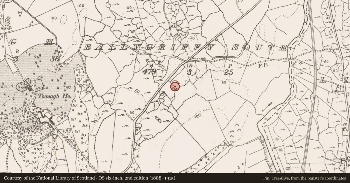Ordnance Survey six-inch map, 2nd edition (1888–1915) covering the location of Ringfort - cashel, Ballygriffy South, County Clare, with a pin at the register's coordinates