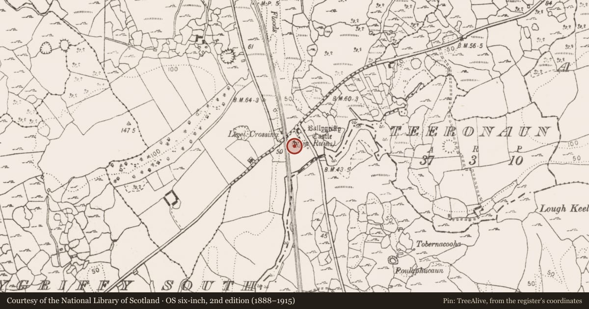 Ordnance Survey six-inch map, 2nd edition (1888–1915) covering the location of Castle - tower house, Ballygriffy South, County Clare, with a pin at the register's coordinates