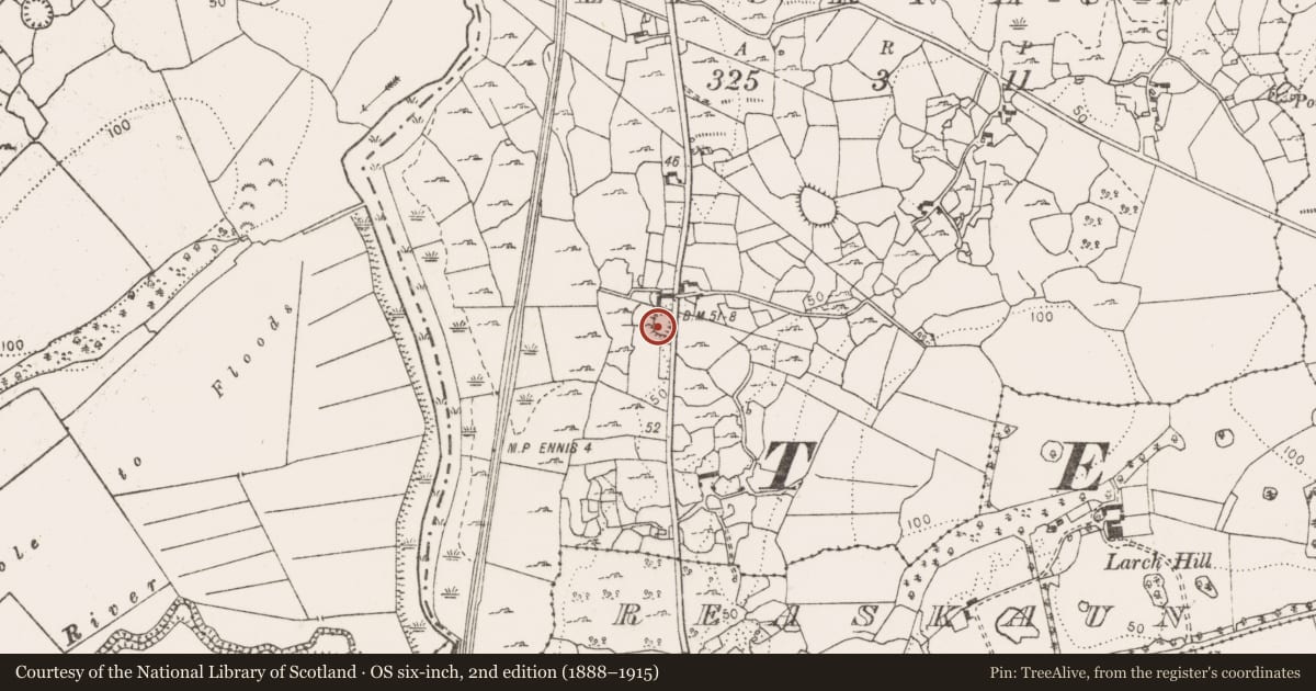 Ordnance Survey six-inch map, 2nd edition (1888–1915) covering the location of Ringfort - cashel, Licknaun, County Clare, with a pin at the register's coordinates