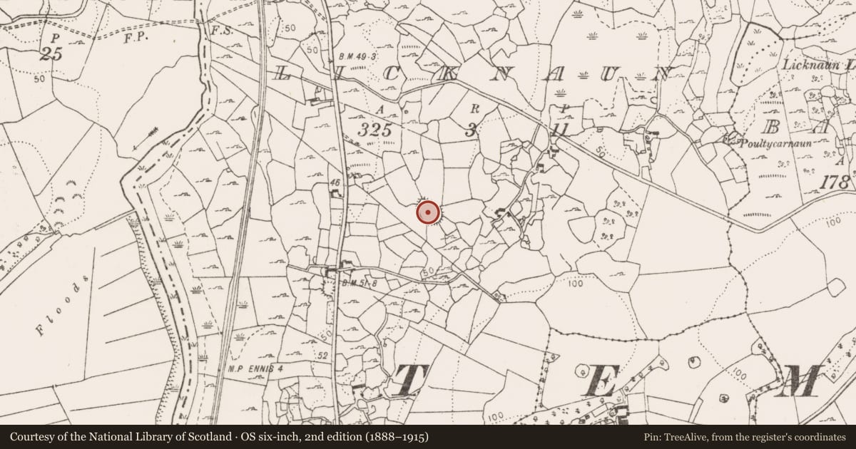 Ordnance Survey six-inch map, 2nd edition (1888–1915) covering the location of Ringfort - cashel, Licknaun, County Clare, with a pin at the register's coordinates