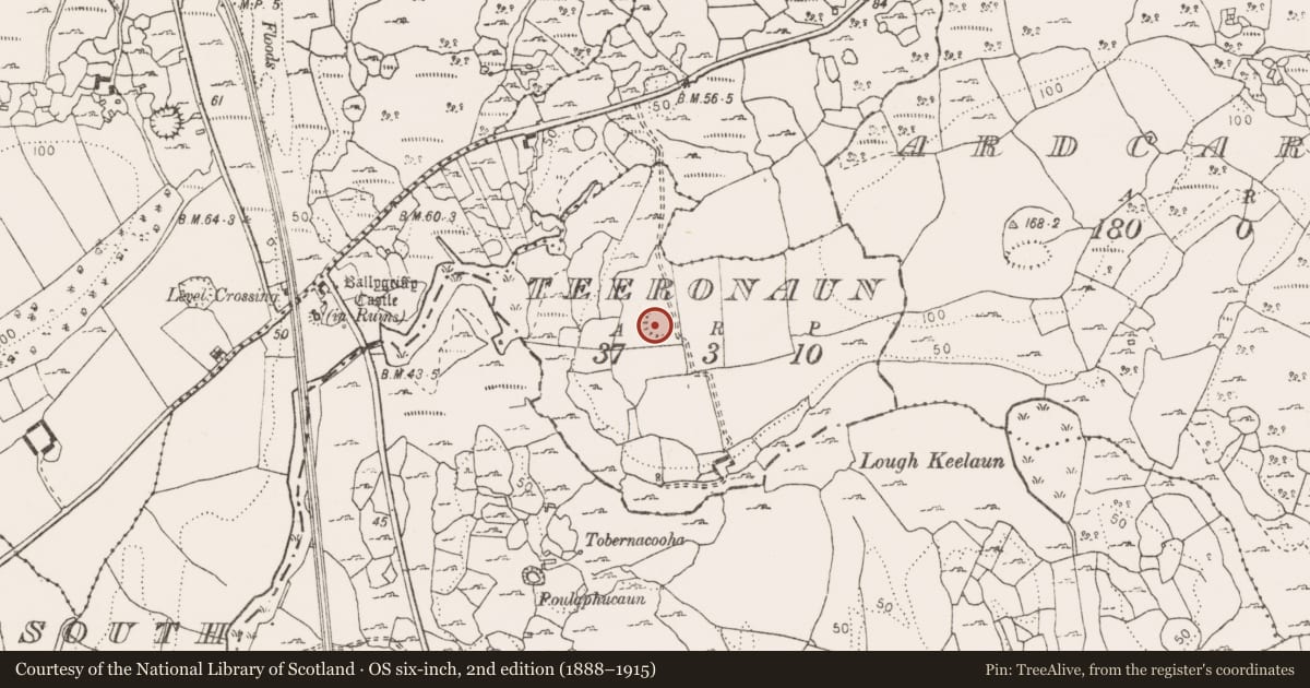 Ordnance Survey six-inch map, 2nd edition (1888–1915) covering the location of Ringfort - cashel, Teeronaun, County Clare, with a pin at the register's coordinates
