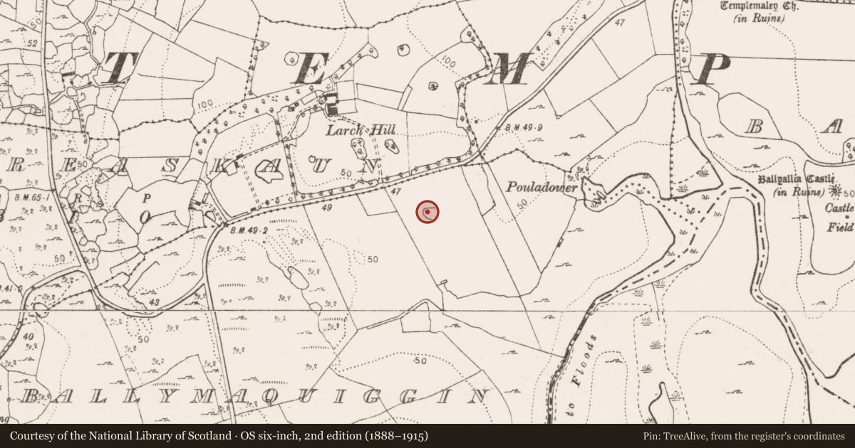 Ordnance Survey six-inch map, 2nd edition (1888–1915) covering the location of Ringfort - cashel, Ballymaquiggin, County Clare, with a pin at the register's coordinates