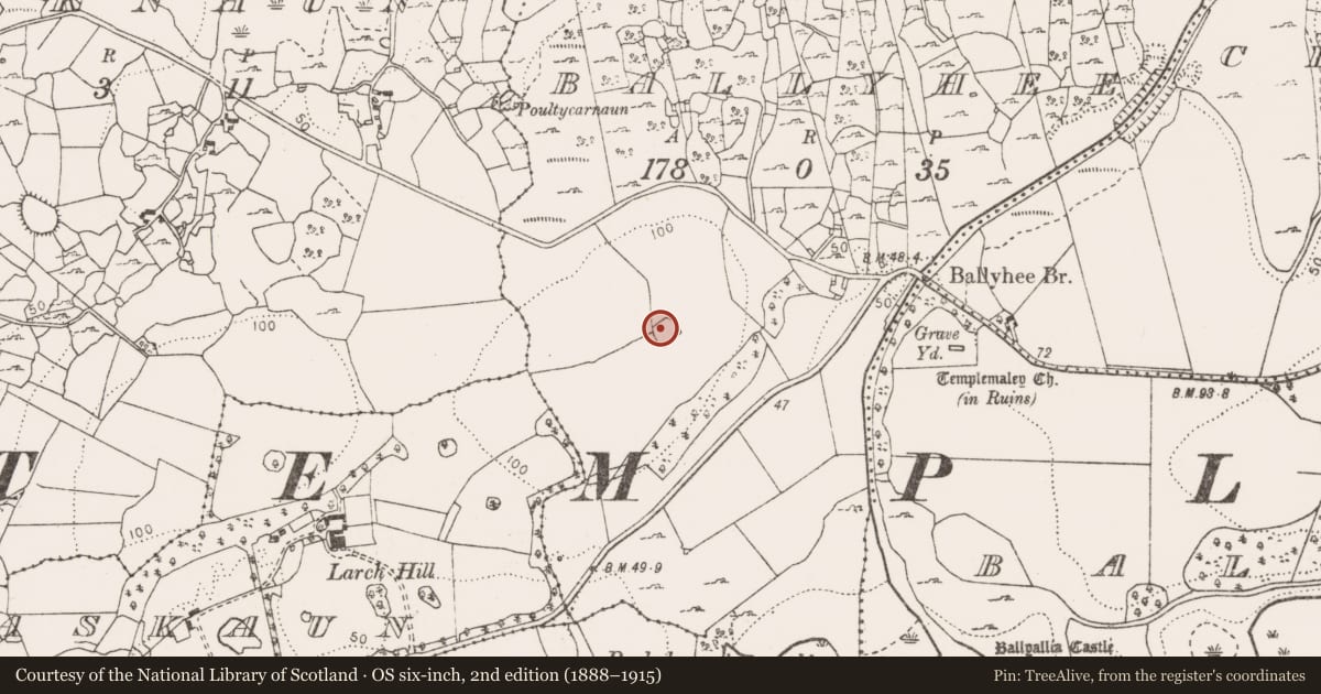 Ordnance Survey six-inch map, 2nd edition (1888–1915) covering the location of Ringfort - rath, Ballyhee, County Clare, with a pin at the register's coordinates