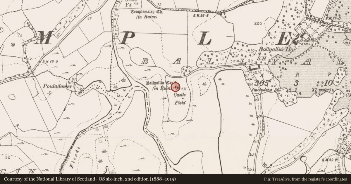 Ordnance Survey six-inch map, 2nd edition (1888–1915) covering the location of Enclosure, Ballyallia, County Clare, with a pin at the register's coordinates