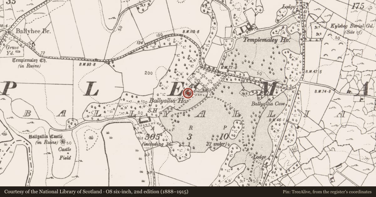 Ordnance Survey six-inch map, 2nd edition (1888–1915) covering the location of House - 16th/17th century, Ballyallia, County Clare, with a pin at the register's coordinates