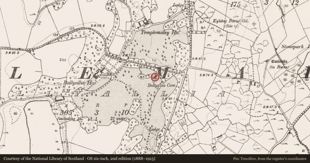 Ordnance Survey six-inch map, 2nd edition (1888–1915) covering the location of Enclosure, Ballyallia, County Clare, with a pin at the register's coordinates