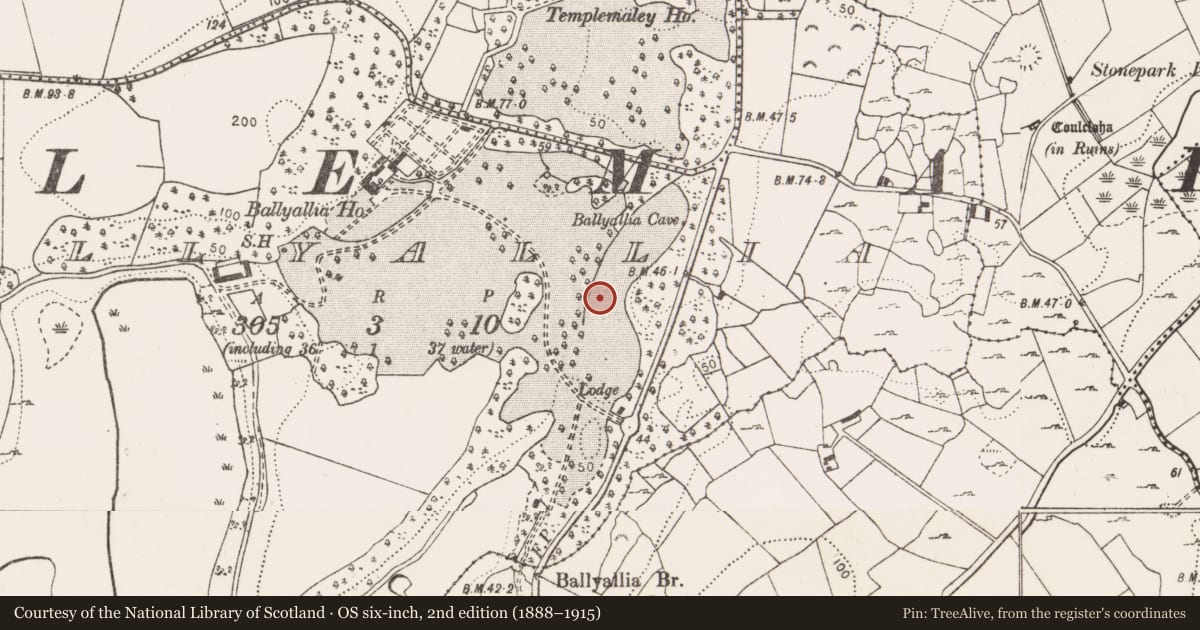Ordnance Survey six-inch map, 2nd edition (1888–1915) covering the location of Enclosure, Ballyallia, County Clare, with a pin at the register's coordinates