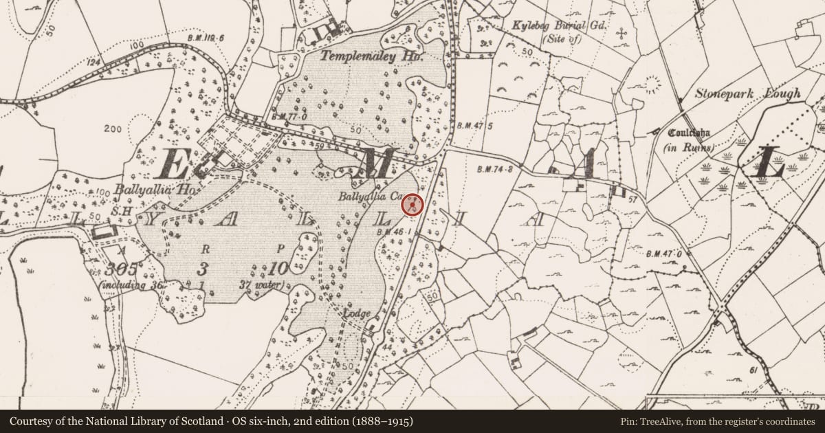 Ordnance Survey six-inch map, 2nd edition (1888–1915) covering the location of Souterrain, Ballyallia, County Clare, with a pin at the register's coordinates