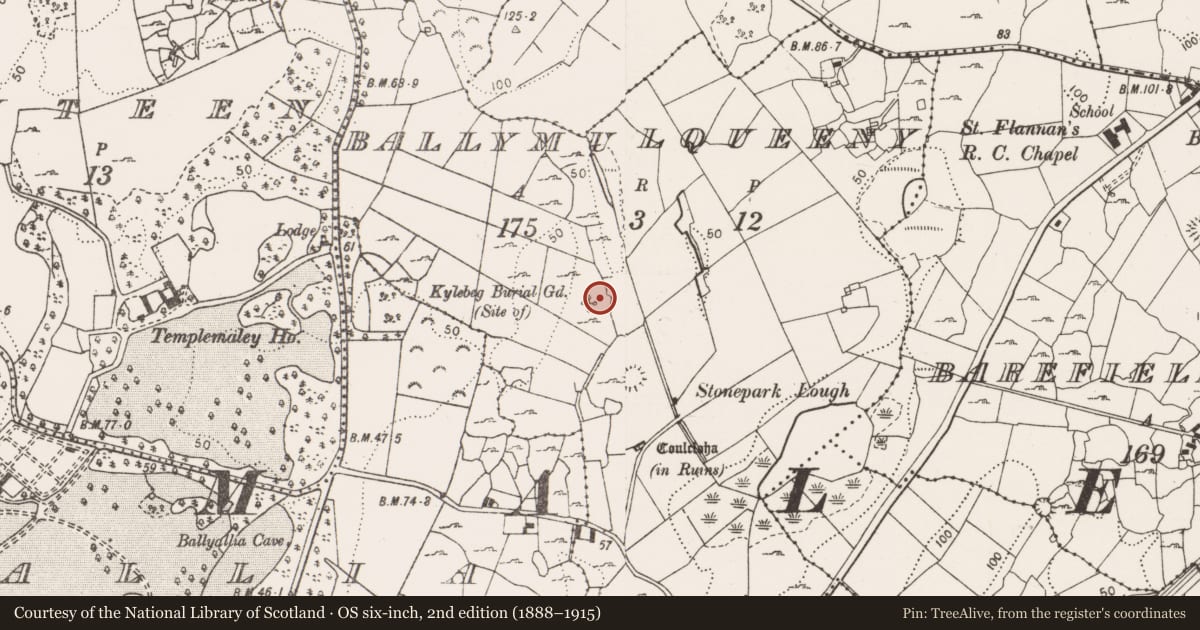 Ordnance Survey six-inch map, 2nd edition (1888–1915) covering the location of Children's burial ground, Ballymulqueeny, County Clare, with a pin at the register's coordinates