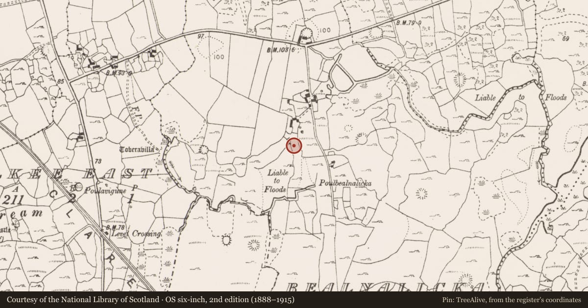 Ordnance Survey six-inch map, 2nd edition (1888–1915) covering the location of Castle - unclassified, Bealnalicka, County Clare, with a pin at the register's coordinates