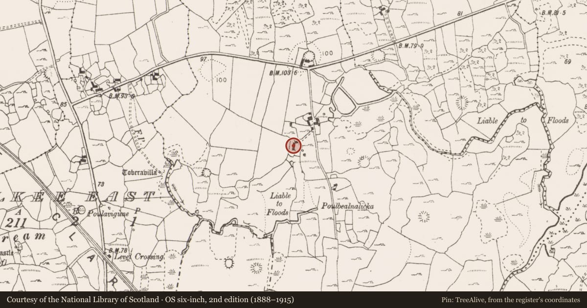Ordnance Survey six-inch map, 2nd edition (1888–1915) covering the location of Architectural fragment, Bealnalicka, County Clare, with a pin at the register's coordinates
